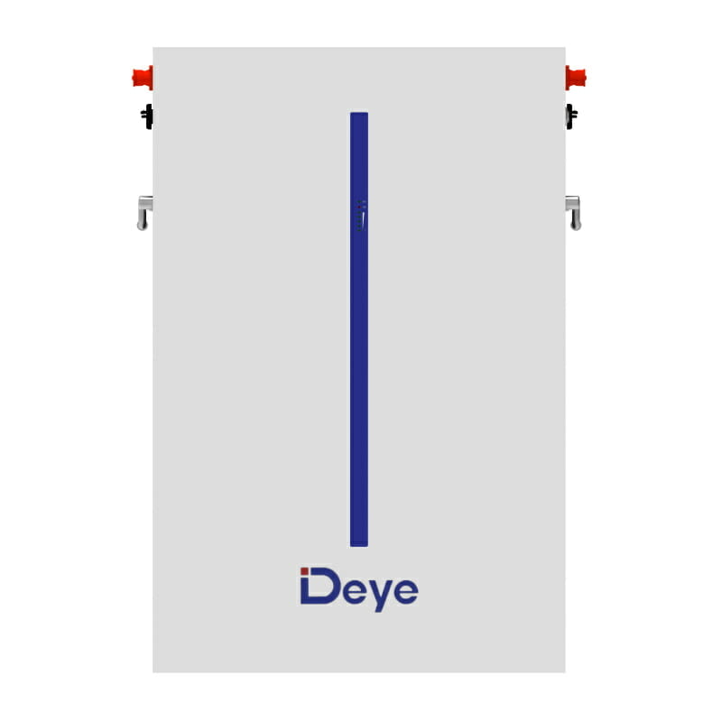 DEYE 6kwh লিথিয়াম ব্যাটারি RW M6.1